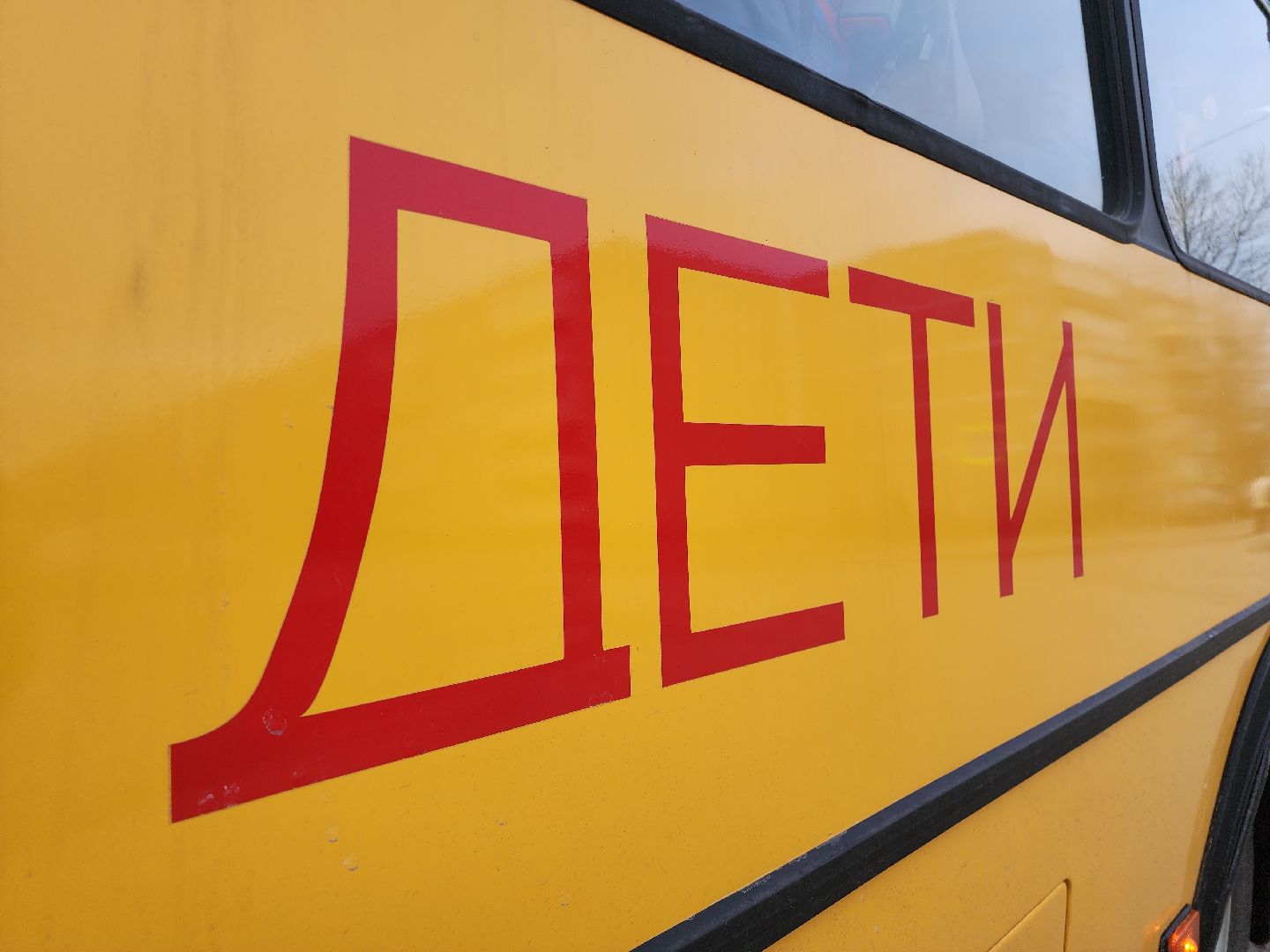 Егорьевск, Подмосковье, Московская область, автобус, школьный автобус,