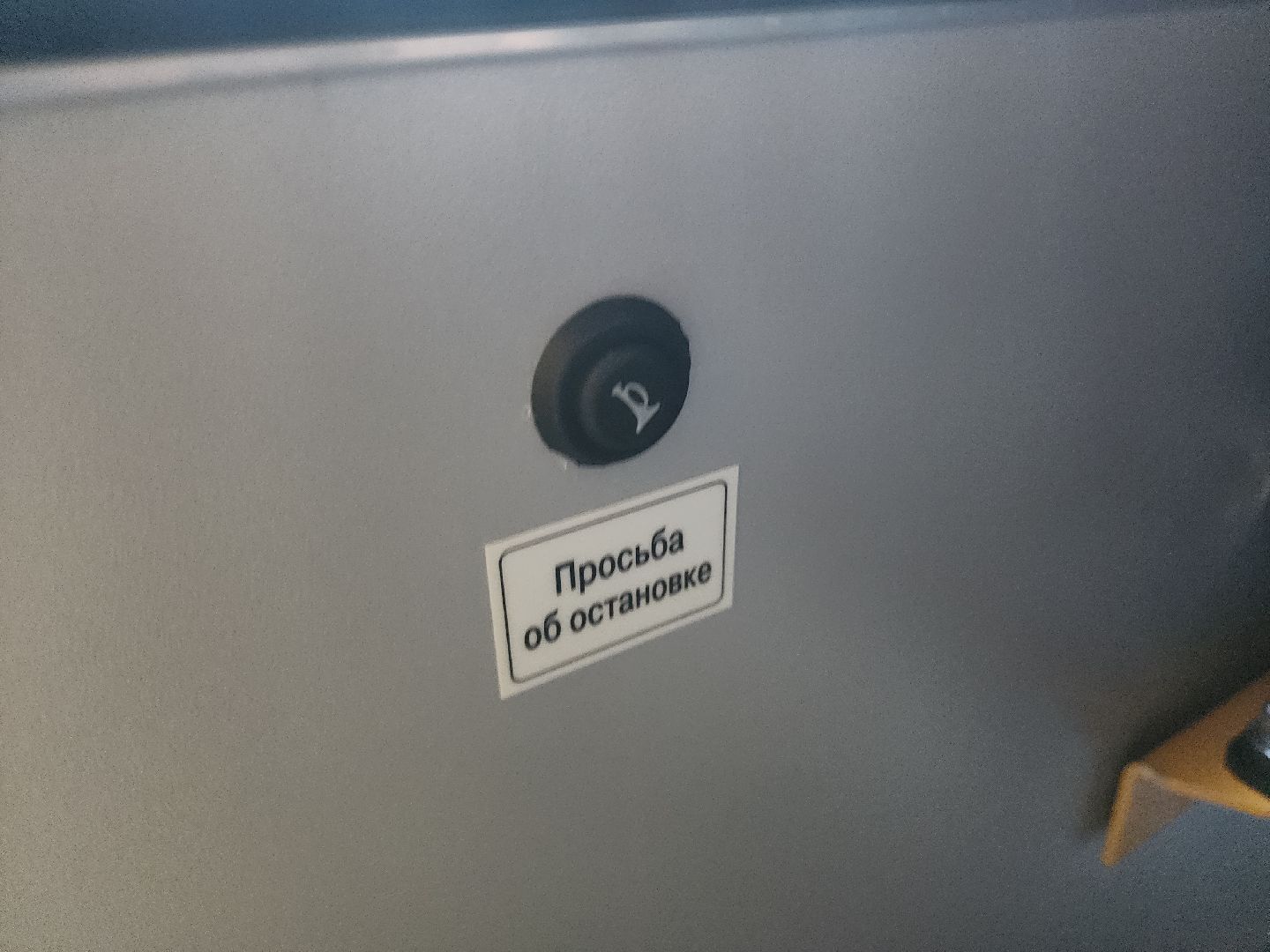 Егорьевск, Подмосковье, Московская область, автобус, школьный автобус,