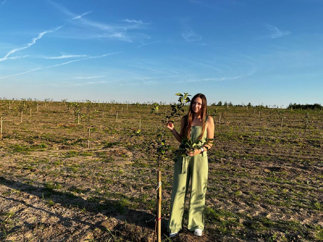 Екатерининский сад, сельское хозяйство, ягодовоство, вишня