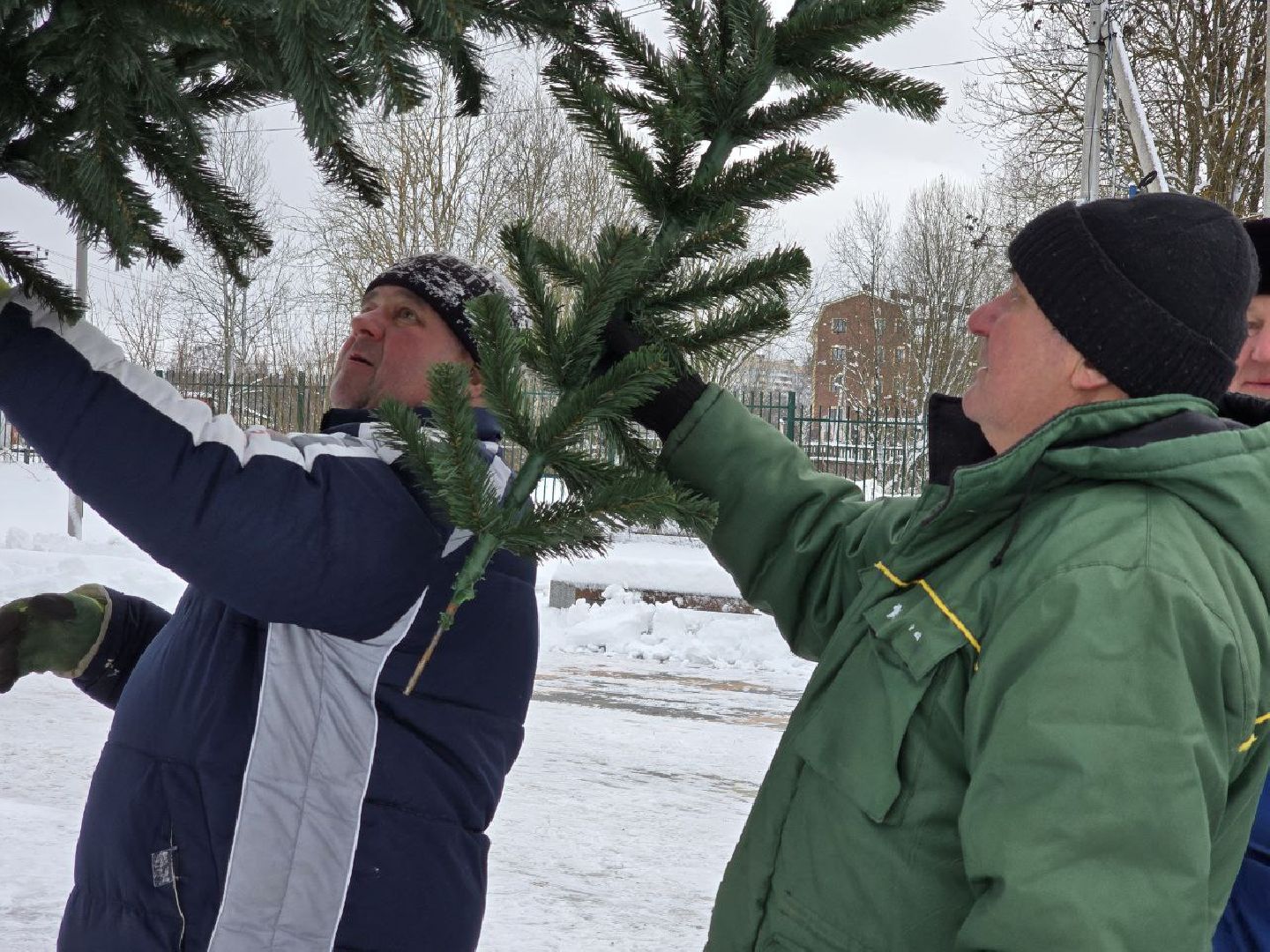 можайск, можайский городской округ, подмосковье, парк, парк ривьера, новый год, новогодние праздники, дед мороз, новогодняя ель, вертикалки,