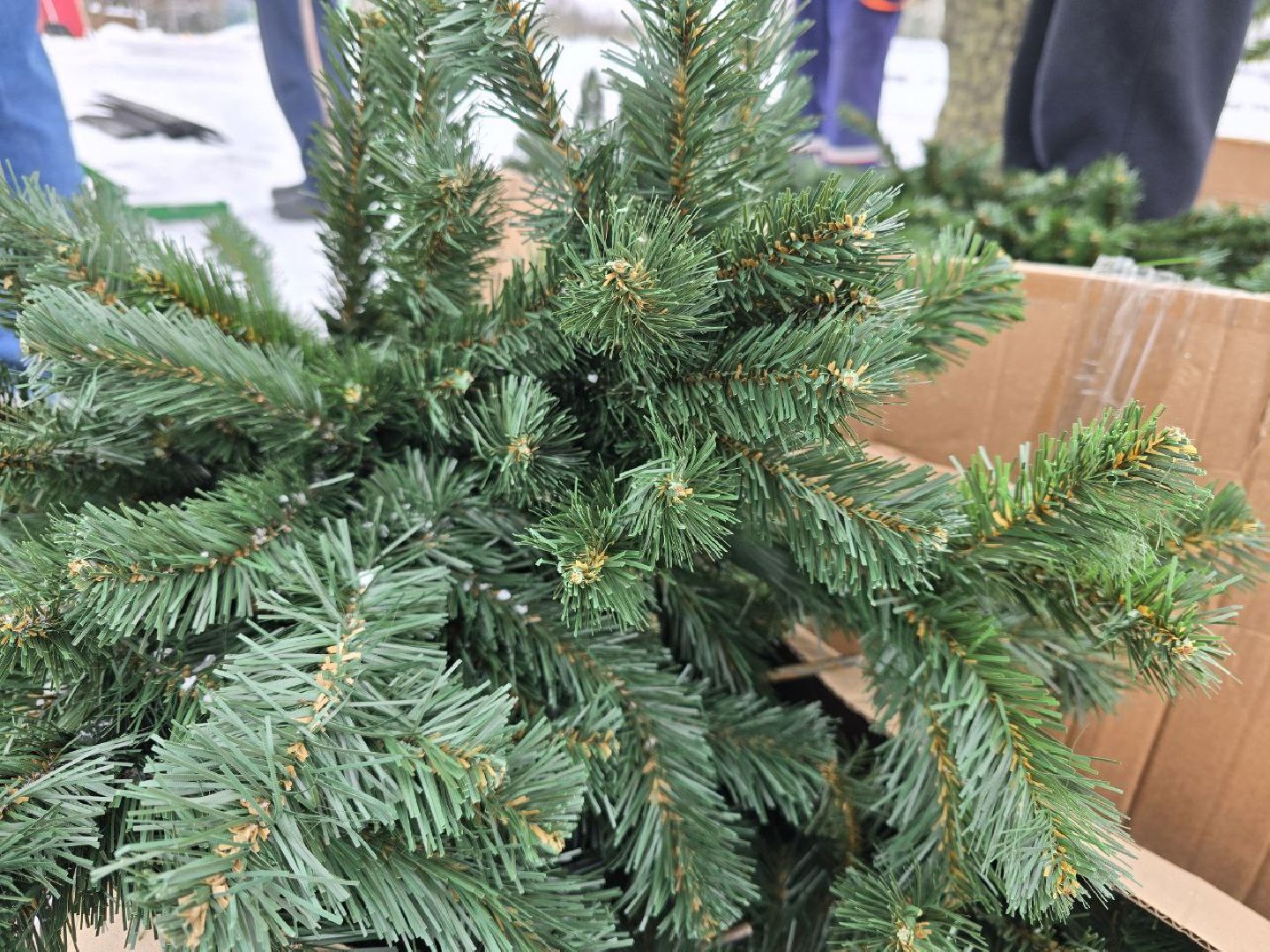 можайск, можайский городской округ, подмосковье, парк, парк ривьера, новый год, новогодние праздники, дед мороз, новогодняя ель, вертикалки,