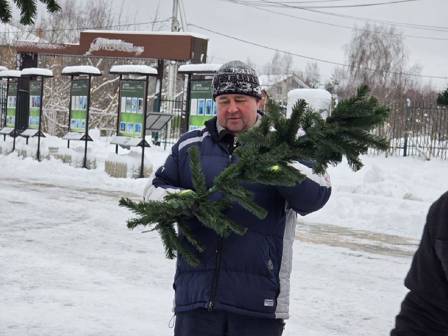 можайск, можайский городской округ, подмосковье, парк, парк ривьера, новый год, новогодние праздники, дед мороз, новогодняя ель, вертикалки,
