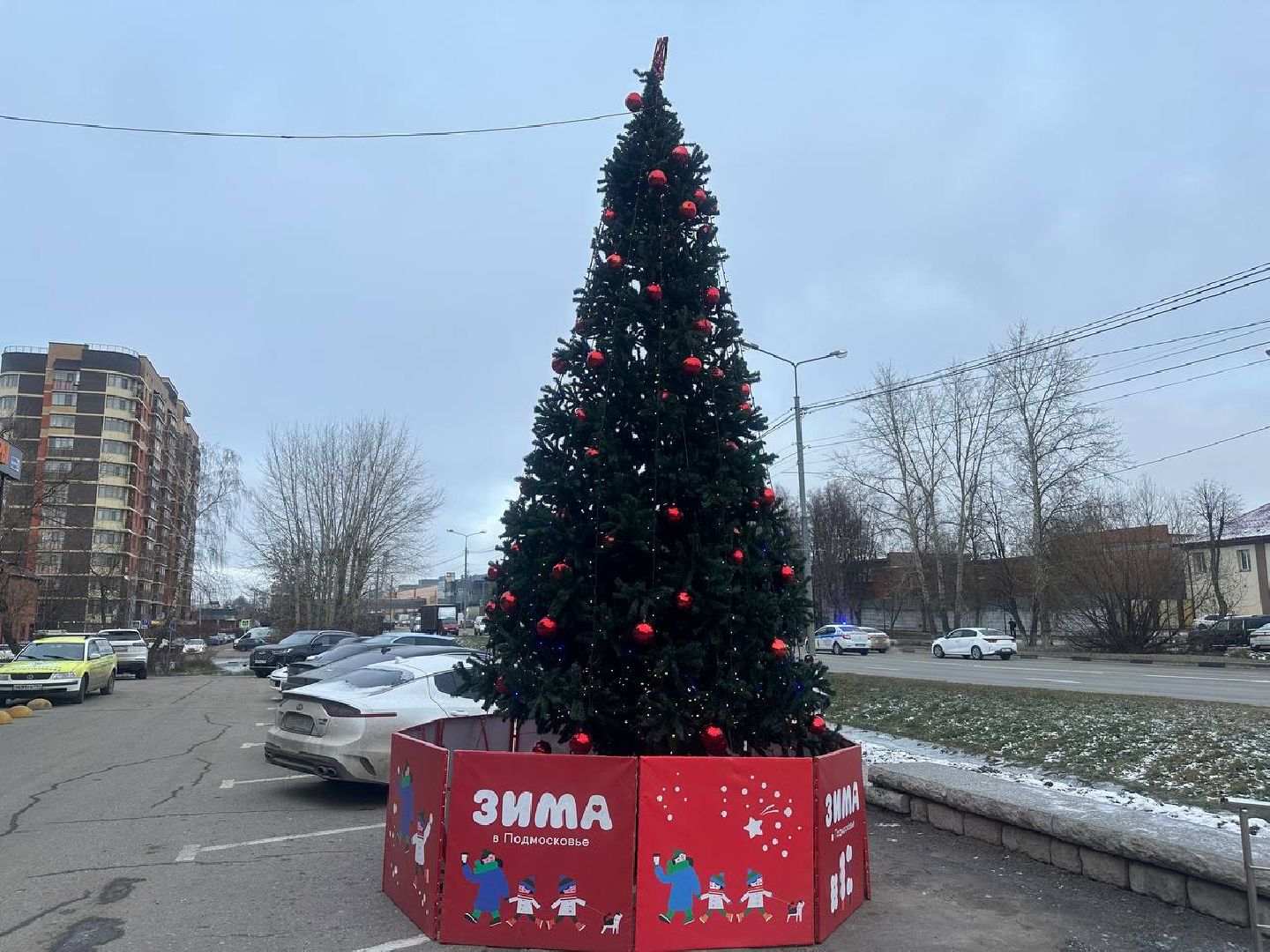 новый год, новогодняя елка, зима в подмомсковье,