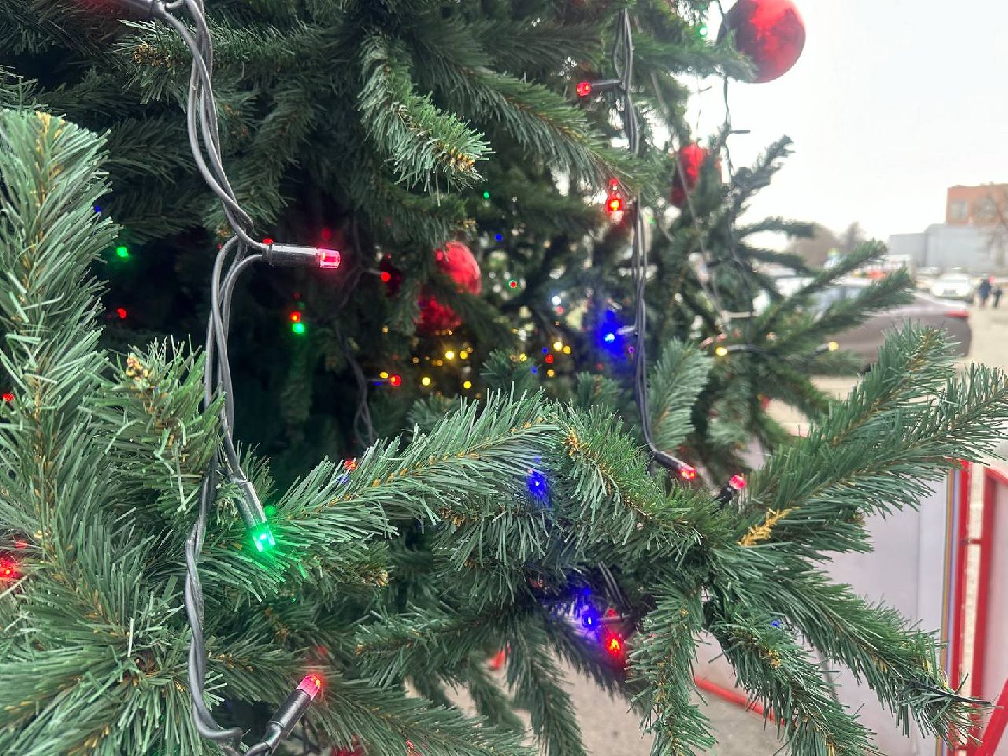 новый год, новогодняя елка, зима в подмомсковье,