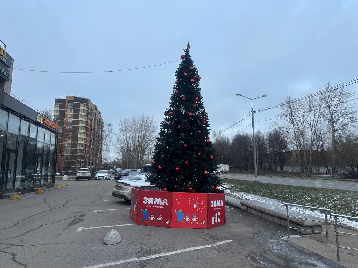 новый год, новогодняя елка, зима в подмомсковье,