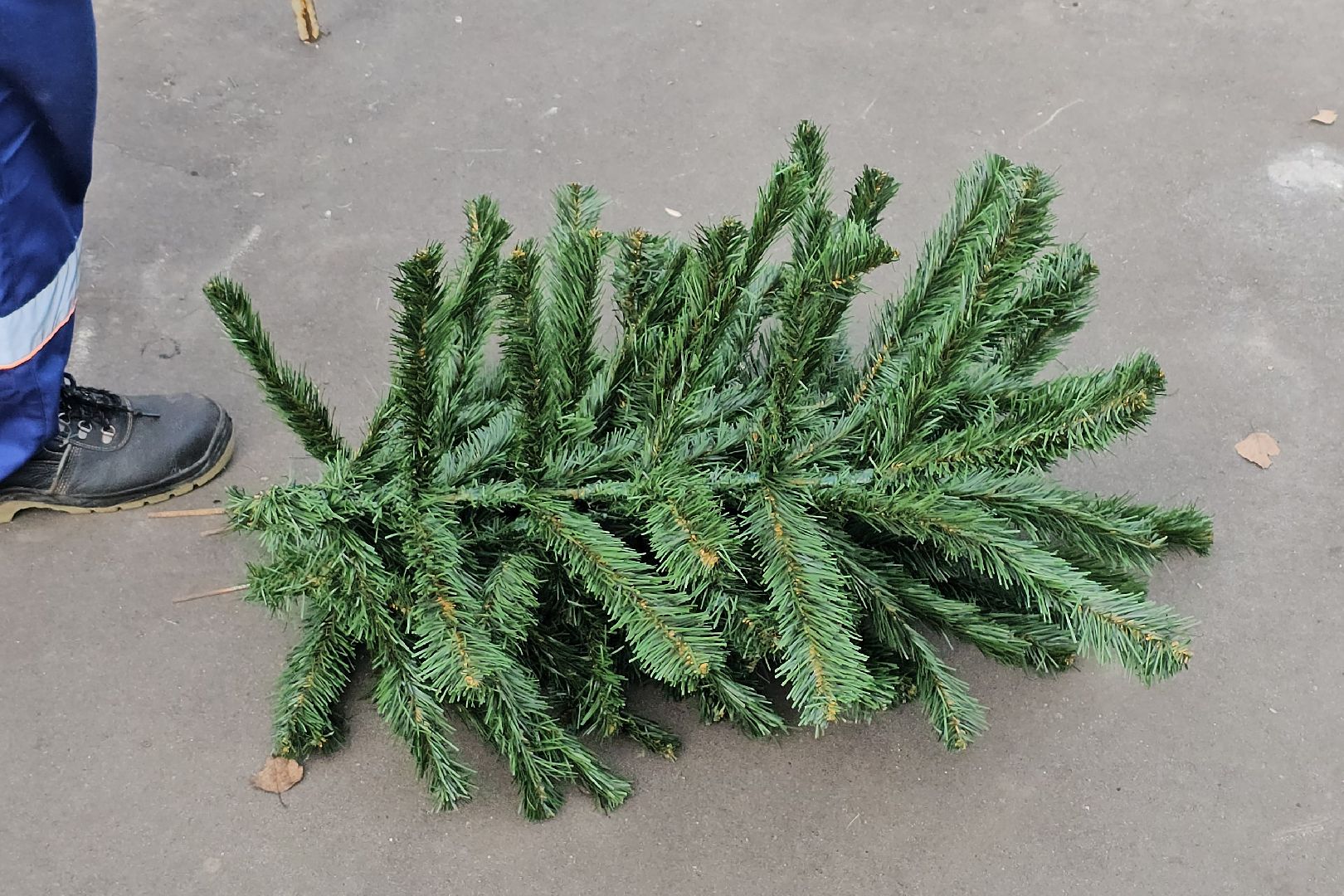 Луховицы, новогодняя елка,