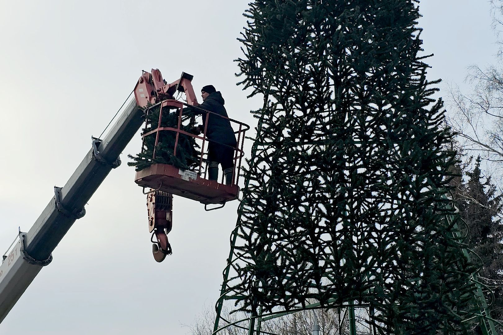 Луховицы, новогодняя елка,