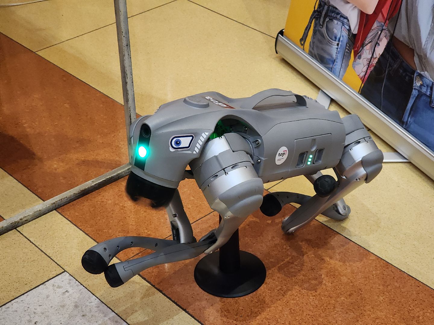 ногинск, богородский округ, жители, общество, день матери, матари, премия главы, глава округа, праздник, развлечения,