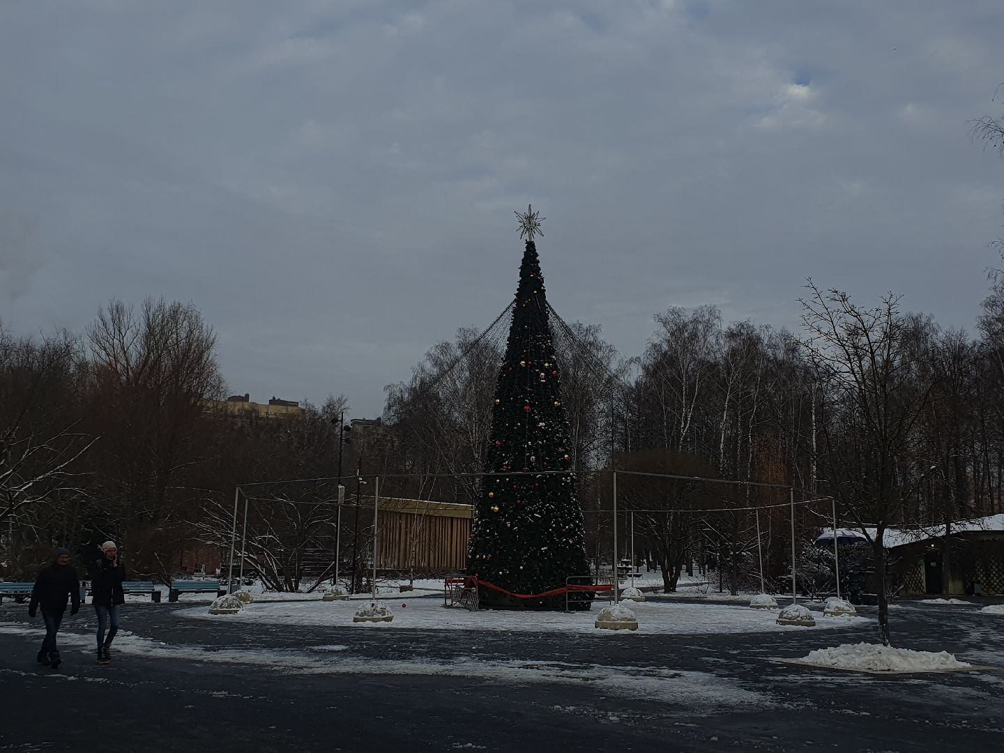 вертикалки, новогодняя елка, украшение города к новому году,