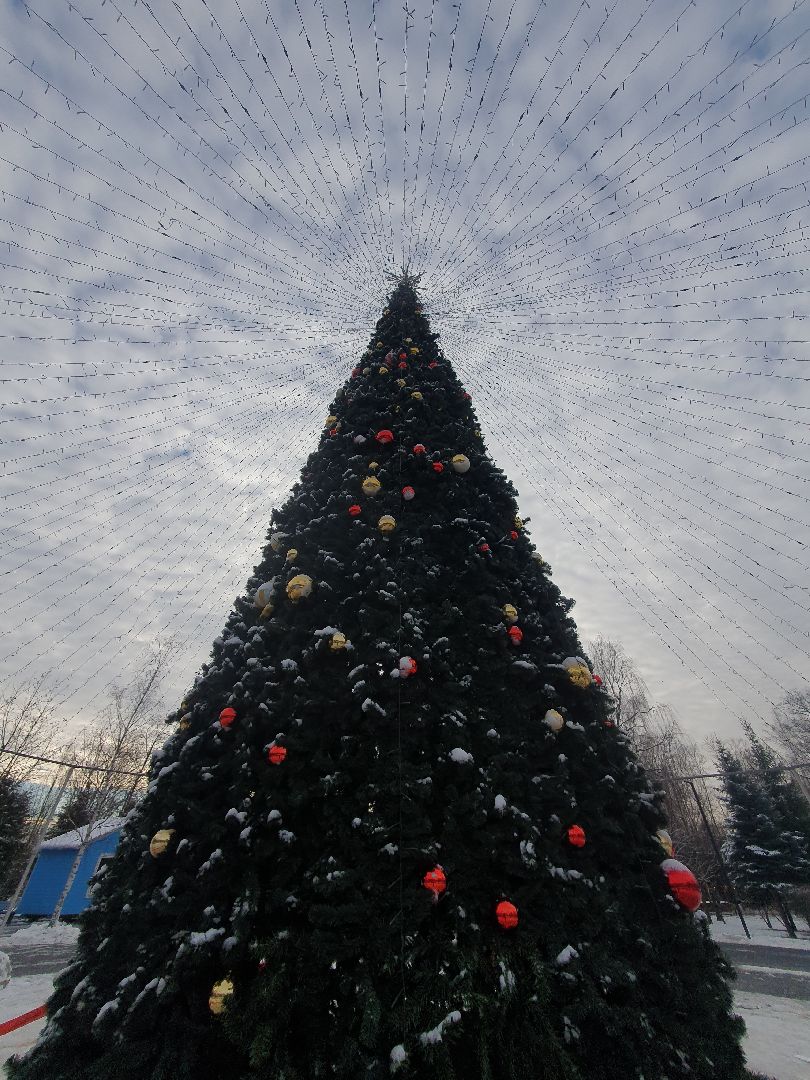 вертикалки, новогодняя елка, украшение города к новому году,
