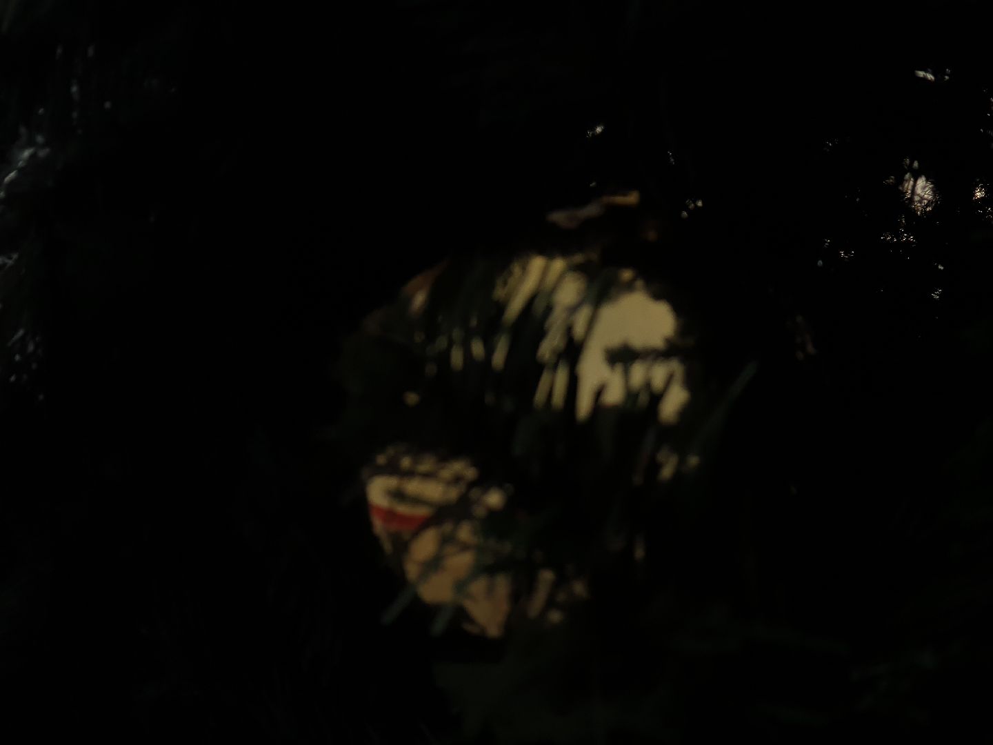 вертикалки, новогодняя елка, украшение города к новому году,