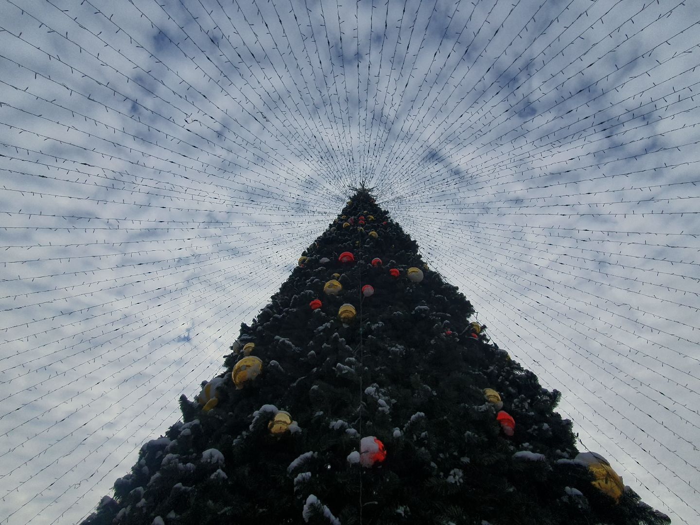 вертикалки, новогодняя елка, украшение города к новому году,