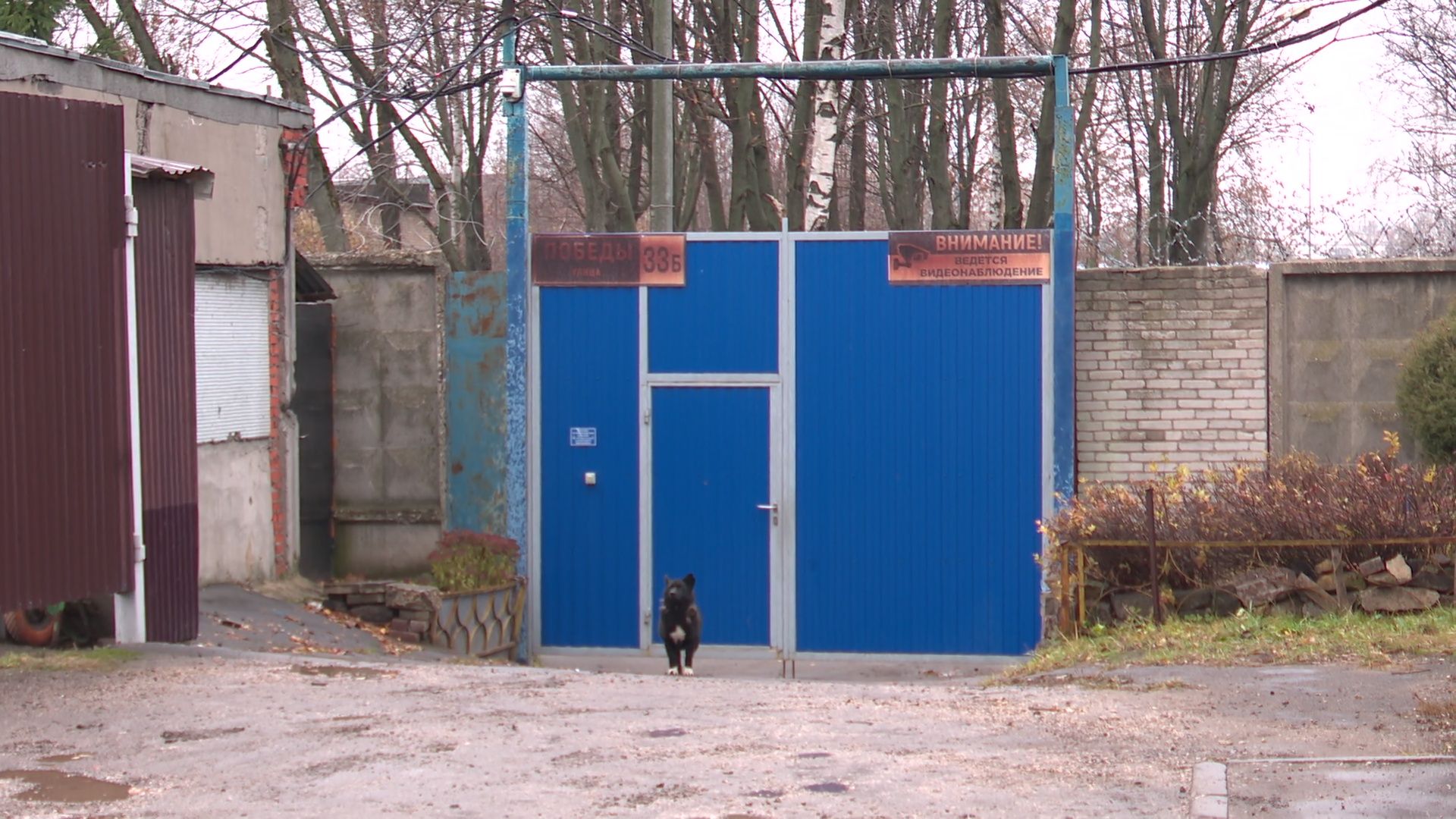 Реутов, вертикалки, проверка, гаражи, кооператив,