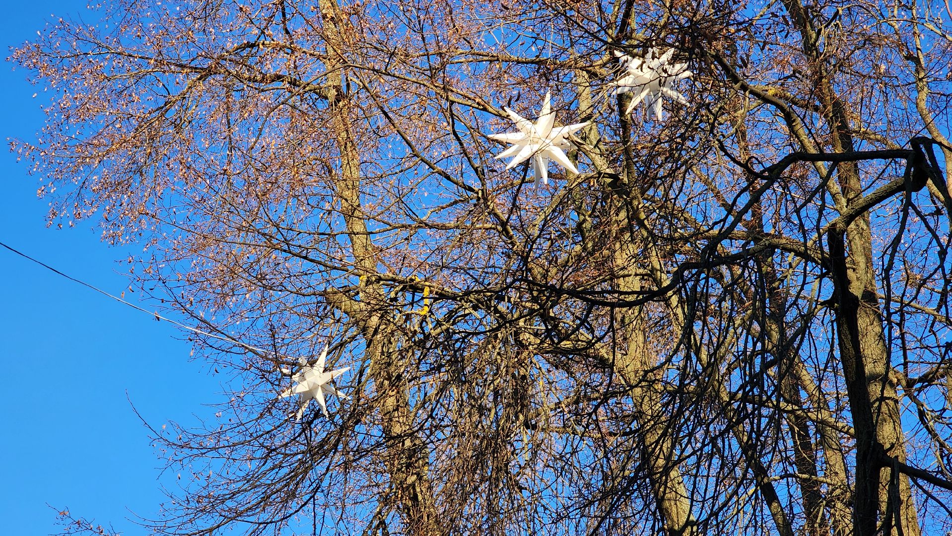 Новый год, украшение города к новому году, Фонтанная площадь, Ногинск, Богородский городской округ, вертикалки,