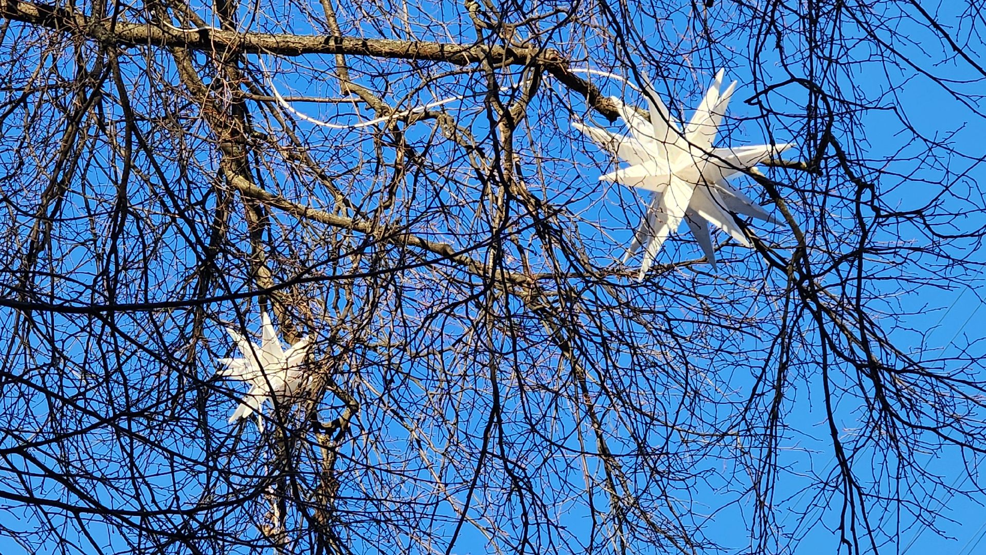 Новый год, украшение города к новому году, Фонтанная площадь, Ногинск, Богородский городской округ, вертикалки,