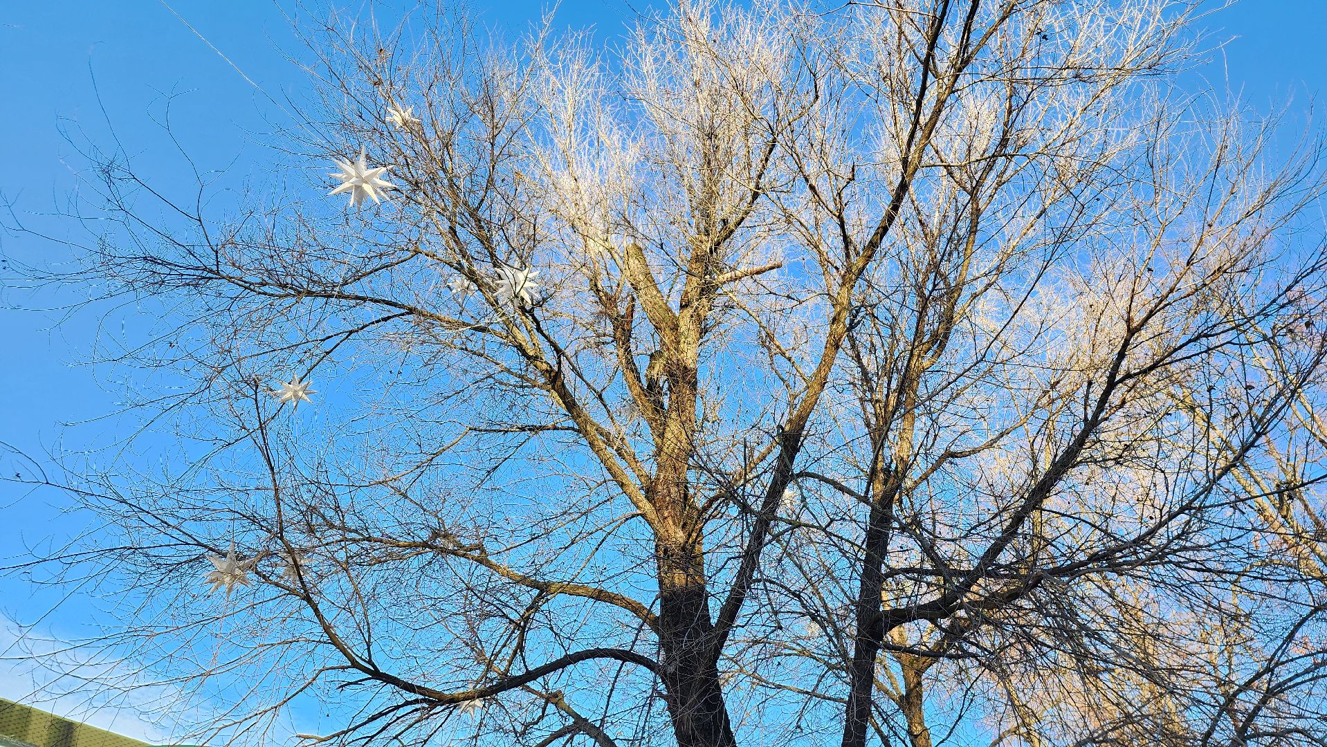 Новый год, украшение города к новому году, Фонтанная площадь, Ногинск, Богородский городской округ, вертикалки,