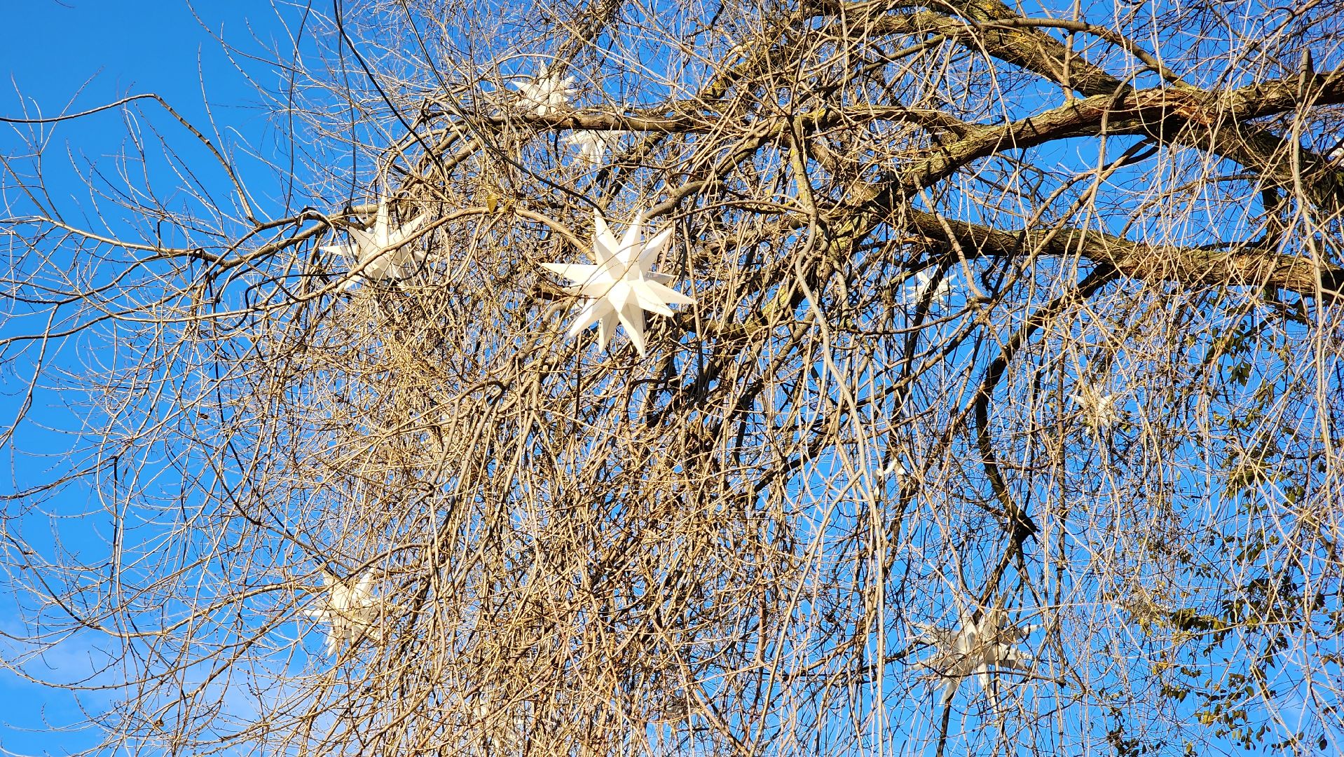 Новый год, украшение города к новому году, Фонтанная площадь, Ногинск, Богородский городской округ, вертикалки,