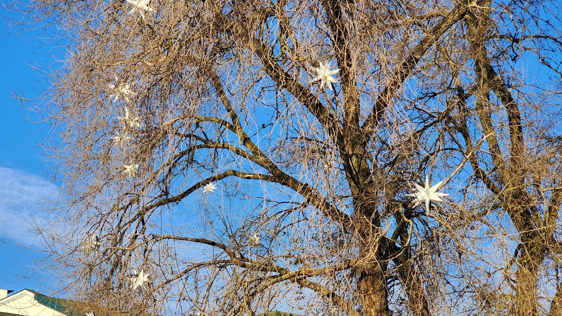 Новый год, украшение города к новому году, Фонтанная площадь, Ногинск, Богородский городской округ, вертикалки,