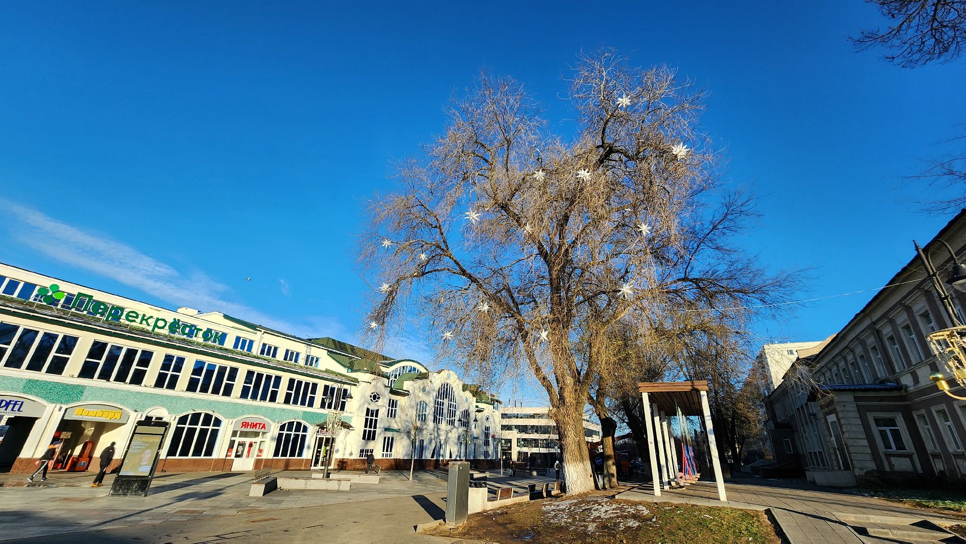 Новый год, украшение города к новому году, Фонтанная площадь, Ногинск, Богородский городской округ, вертикалки,