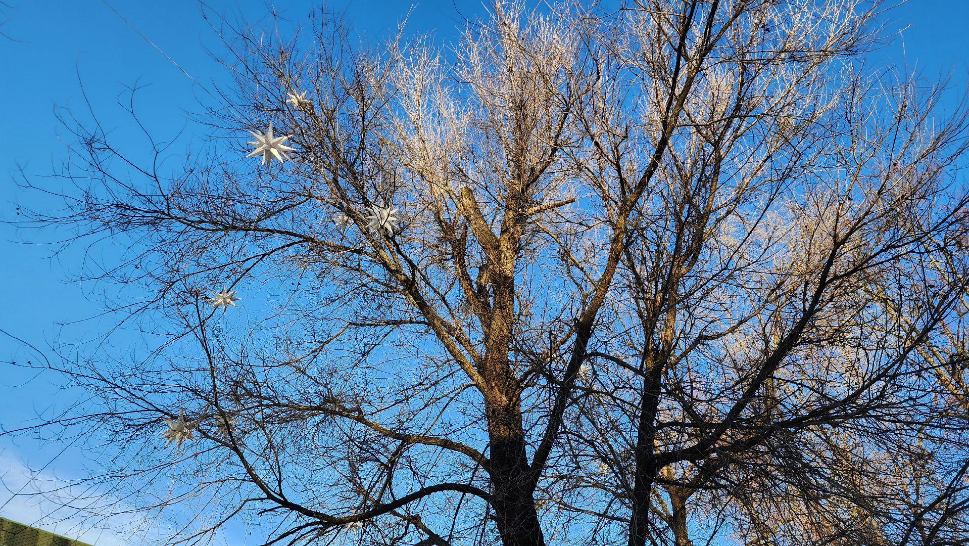 Новый год, украшение города к новому году, Фонтанная площадь, Ногинск, Богородский городской округ, вертикалки,