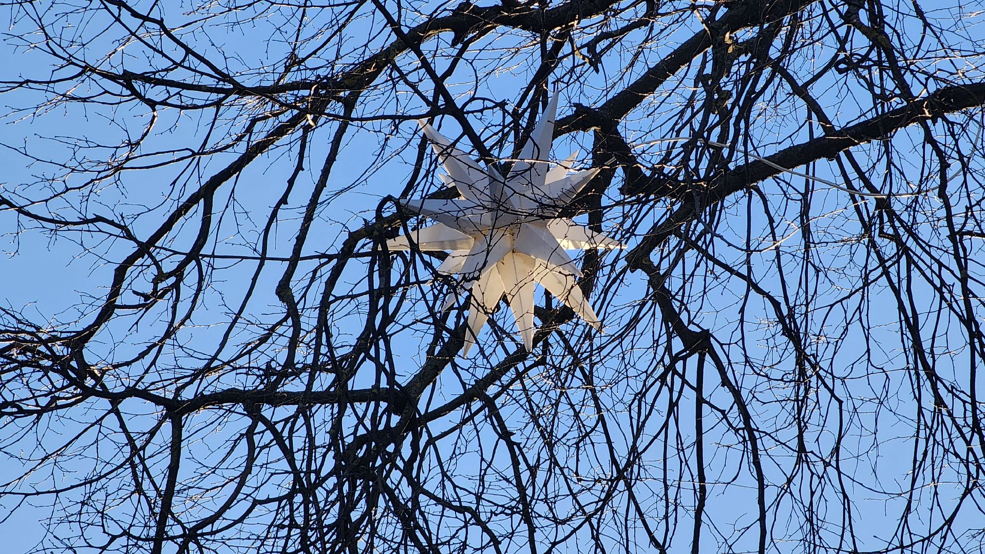 Новый год, украшение города к новому году, Фонтанная площадь, Ногинск, Богородский городской округ, вертикалки,
