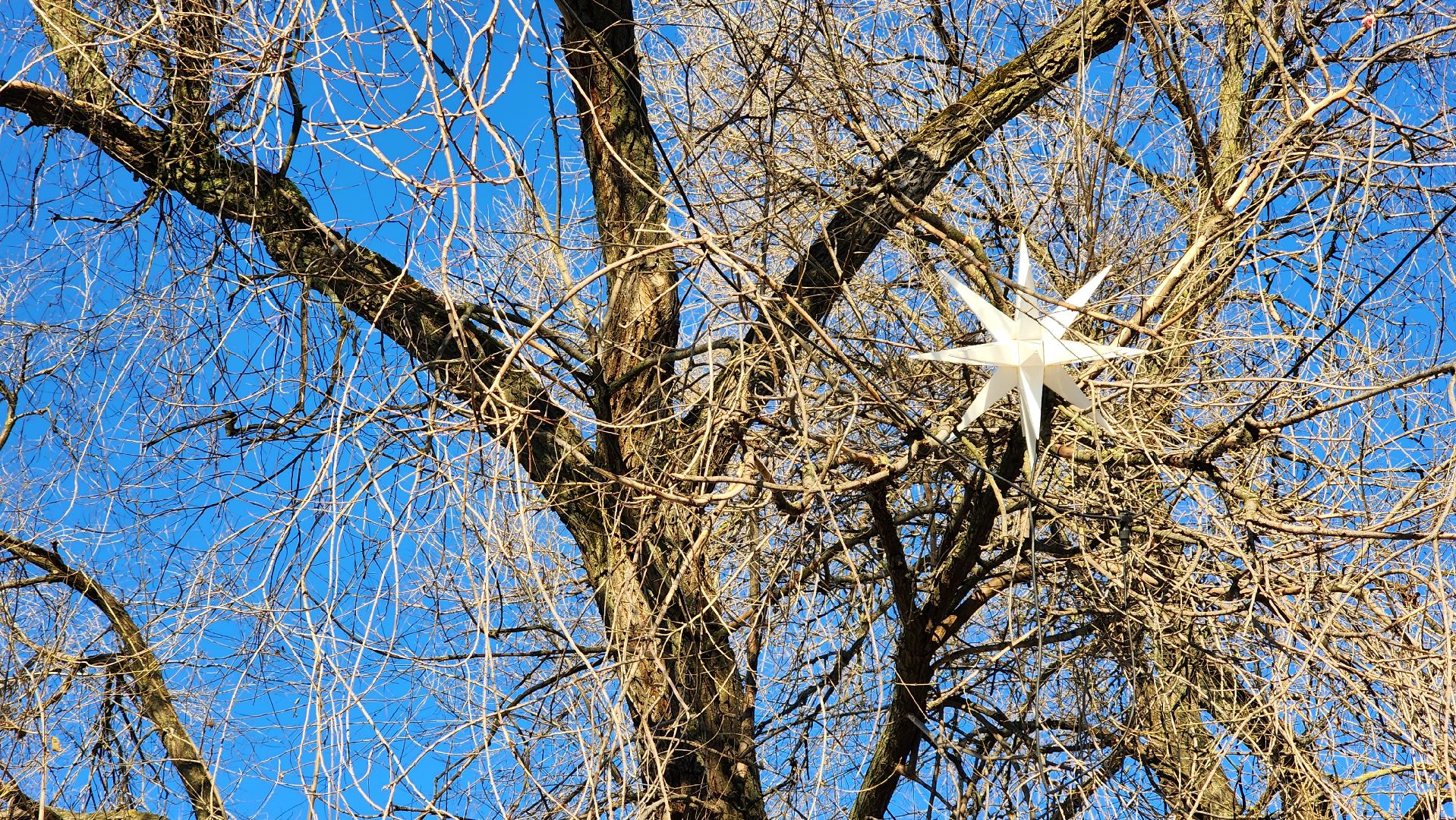 Новый год, украшение города к новому году, Фонтанная площадь, Ногинск, Богородский городской округ, вертикалки,