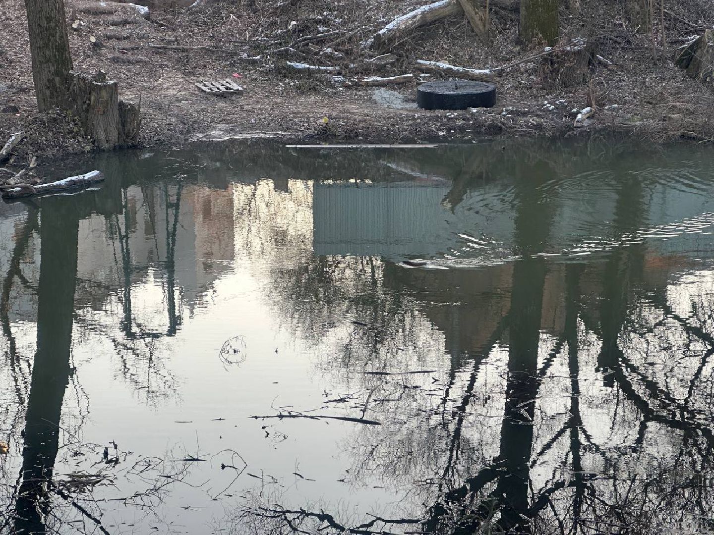 ремонт, ремонт моста, благоуйстройство, вертикалки,