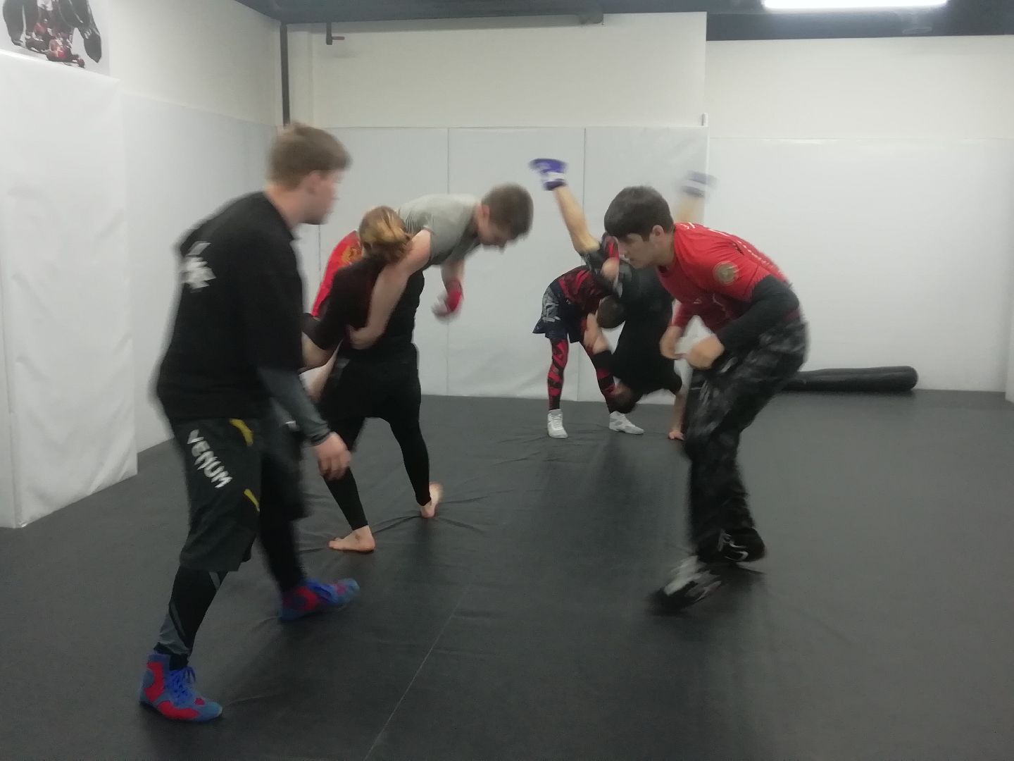 Звенигород, единоборства, всестилевое каратэ, Первенство Мира, Первенство России, спортсмены из Звенигорода