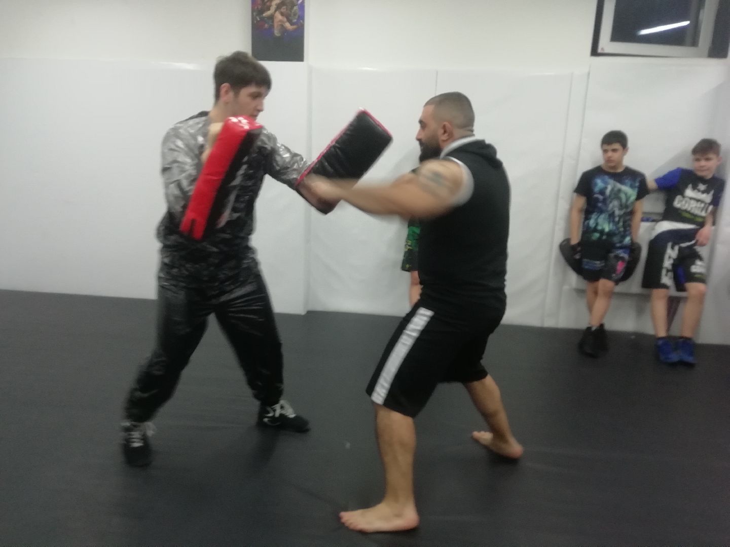 Звенигород, единоборства, всестилевое каратэ, Первенство Мира, Первенство России, спортсмены из Звенигорода