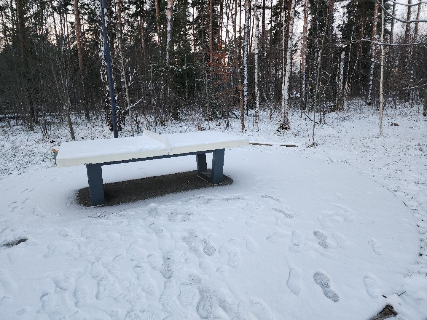 черноголовка, благоустройство, южное озеро,