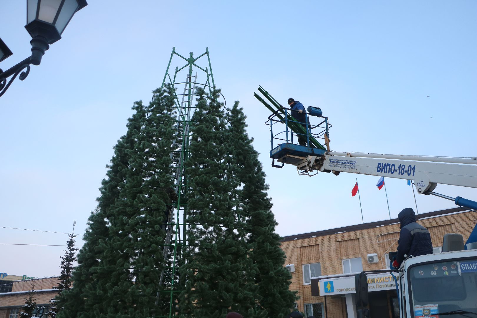 лотошино, ёлка, вертикалки,