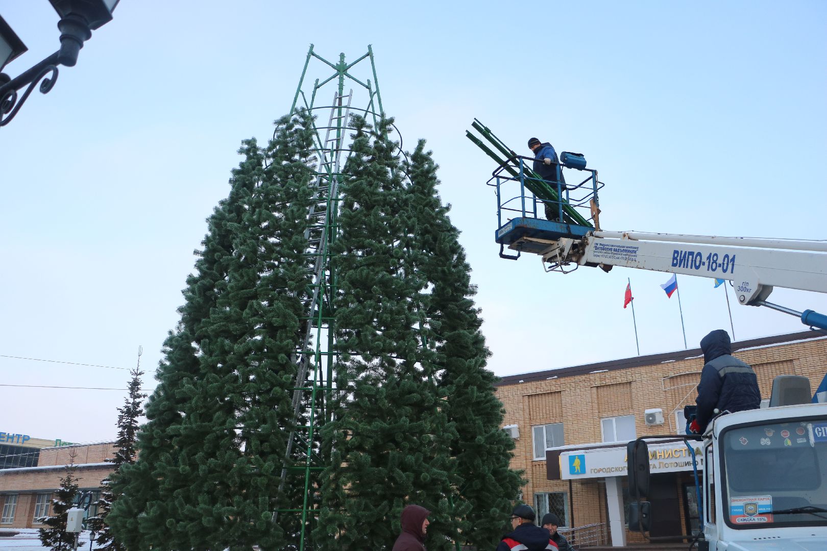 лотошино, ёлка, вертикалки,