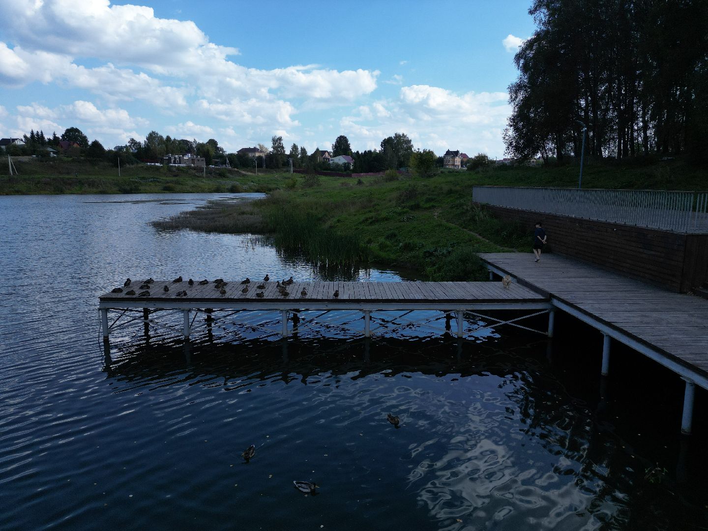 видео с коптера, волоколамск, парк,