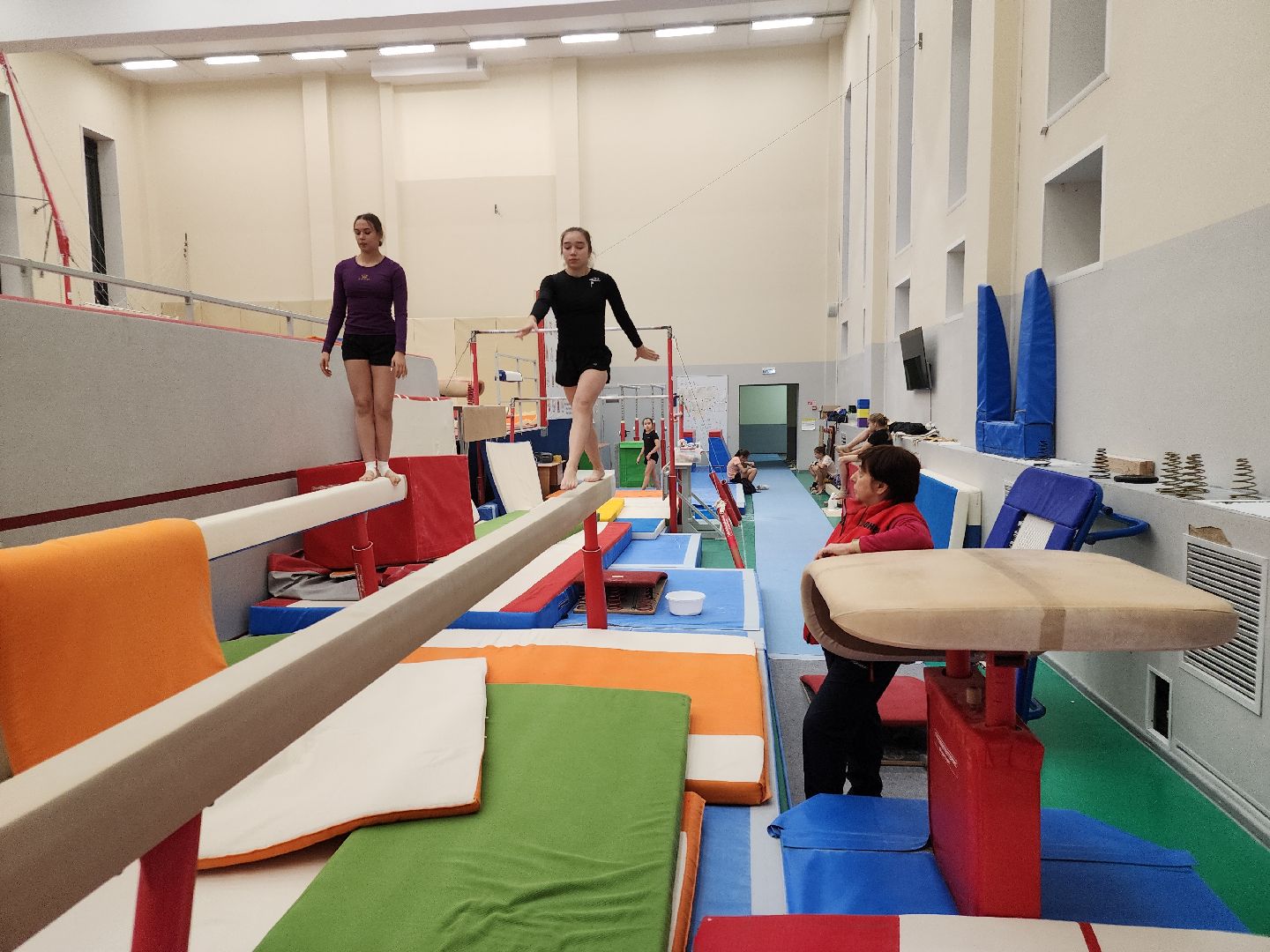 орден за заслуги, спортивная гимнастика, орехово зуево,тренер, вертикалки,