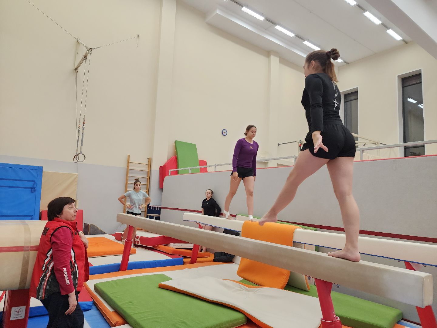 орден за заслуги, спортивная гимнастика, орехово зуево,тренер, вертикалки,