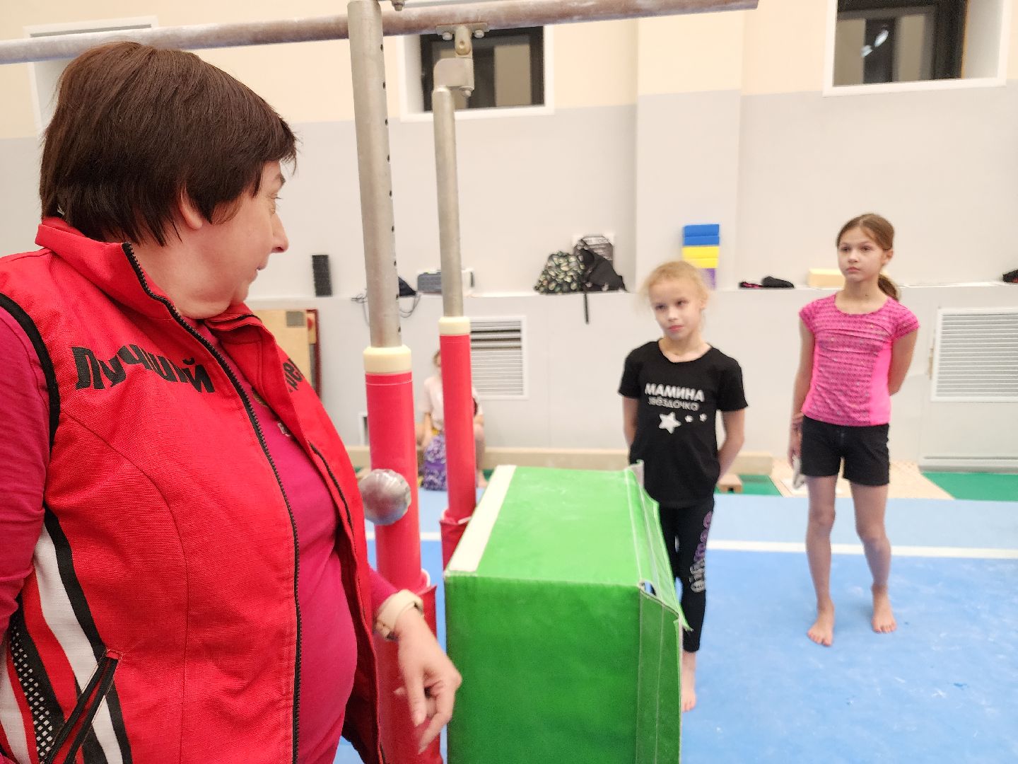 орден за заслуги, спортивная гимнастика, орехово зуево,тренер, вертикалки,