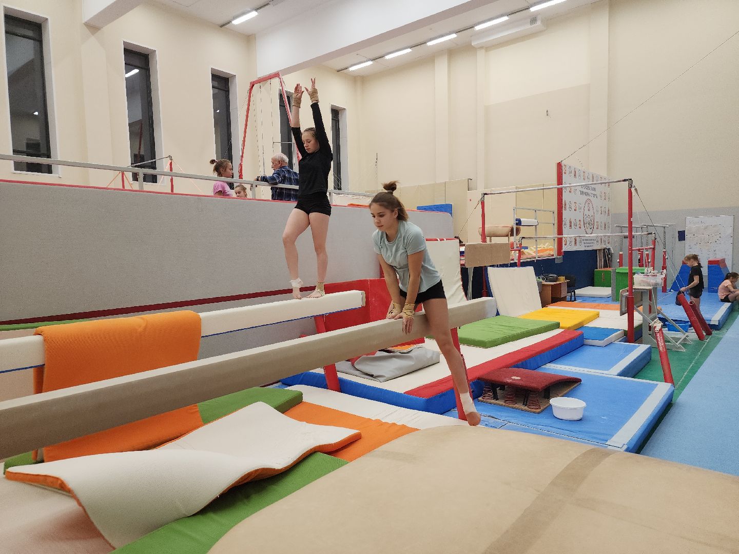 орден за заслуги, спортивная гимнастика, орехово зуево,тренер, вертикалки,