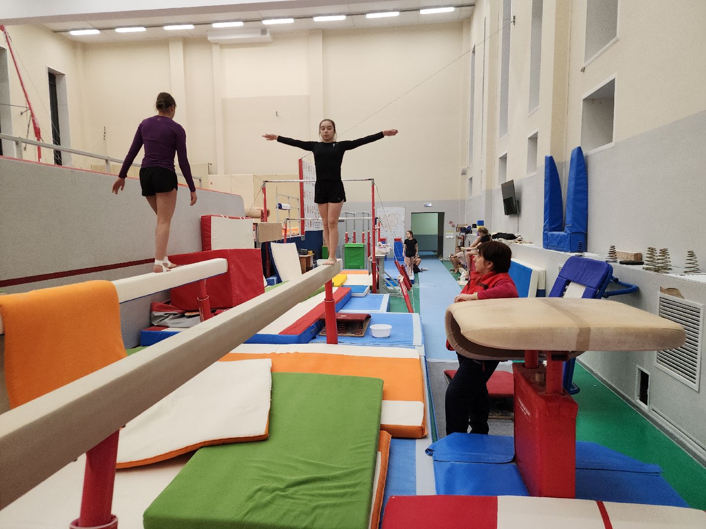 орден за заслуги, спортивная гимнастика, орехово зуево,тренер, вертикалки,