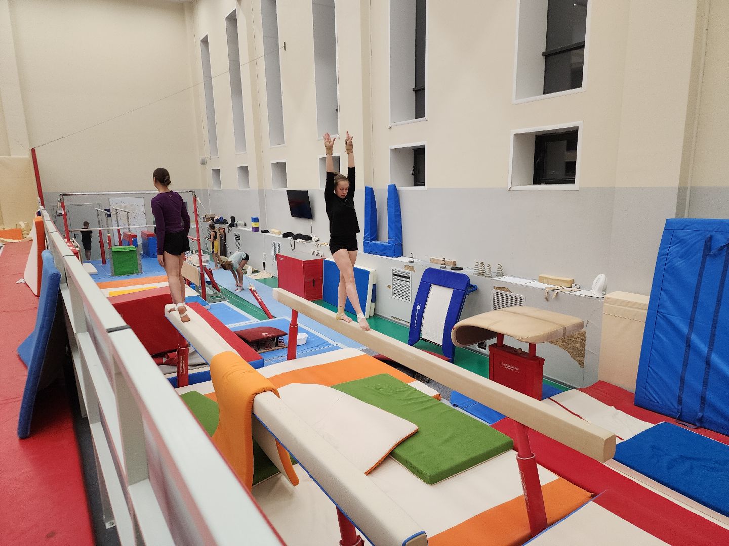 орден за заслуги, спортивная гимнастика, орехово зуево,тренер, вертикалки,