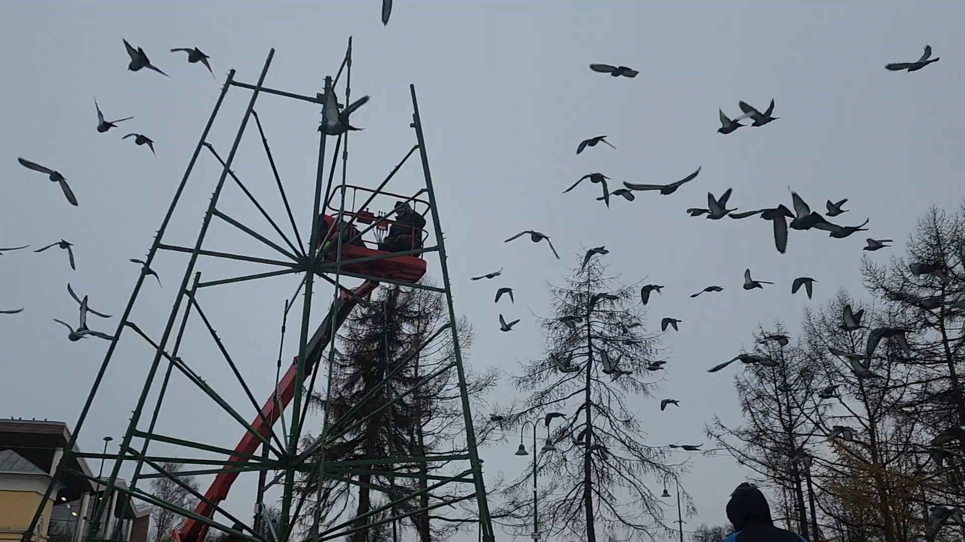 Бронницы, Подготовка к новому году, Установка елки, Благоустройство, Вертикалка, Вертикальное видео,