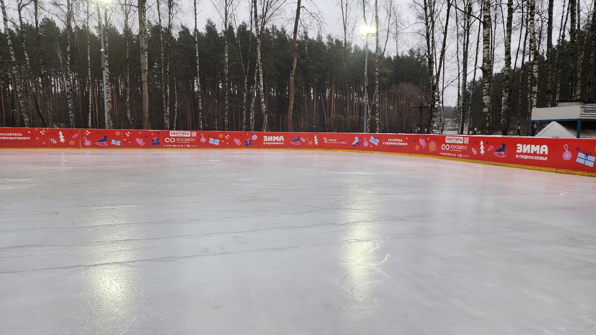 Зима в Подмосковье, Домодедово, Прокат коньков, Искусственный лед, Парк Елочки, Открытие катка, Центральный парк, вертикалки,