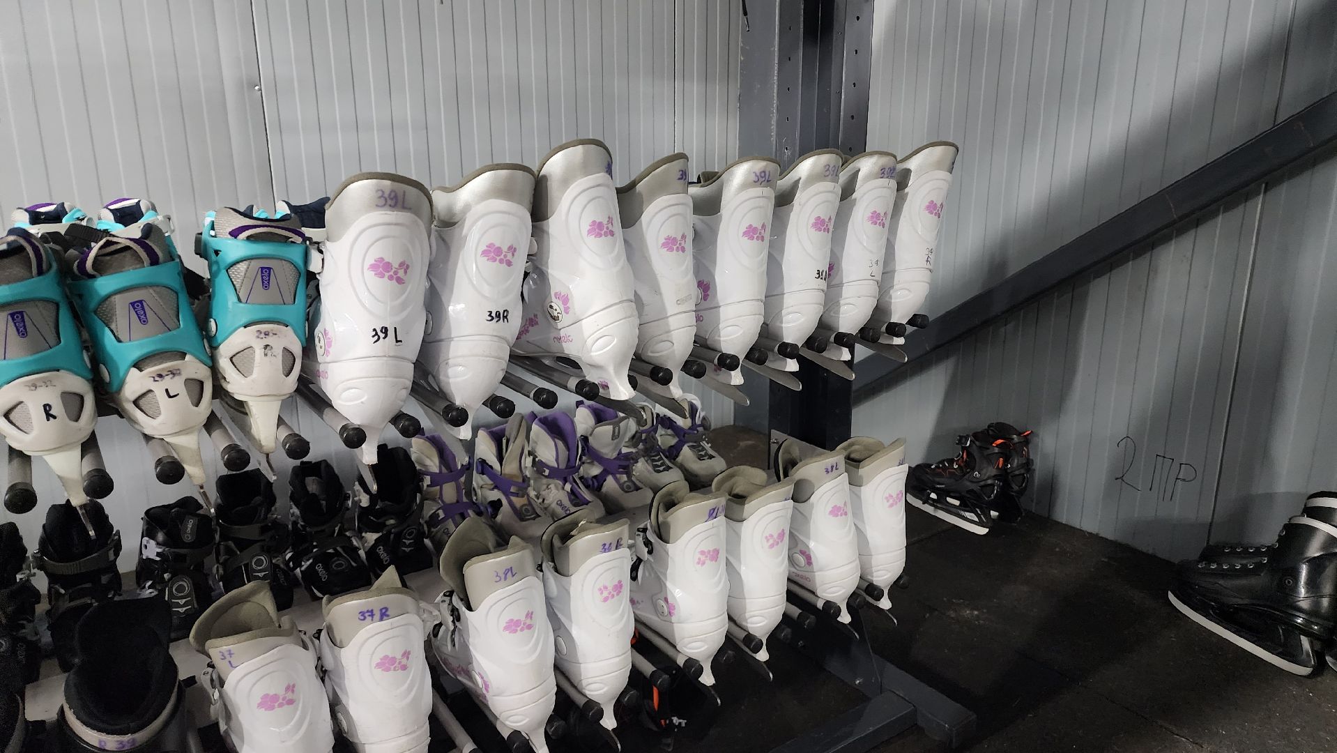 Зима в Подмосковье, Домодедово, Прокат коньков, Искусственный лед, Парк Елочки, Открытие катка, Центральный парк, вертикалки,