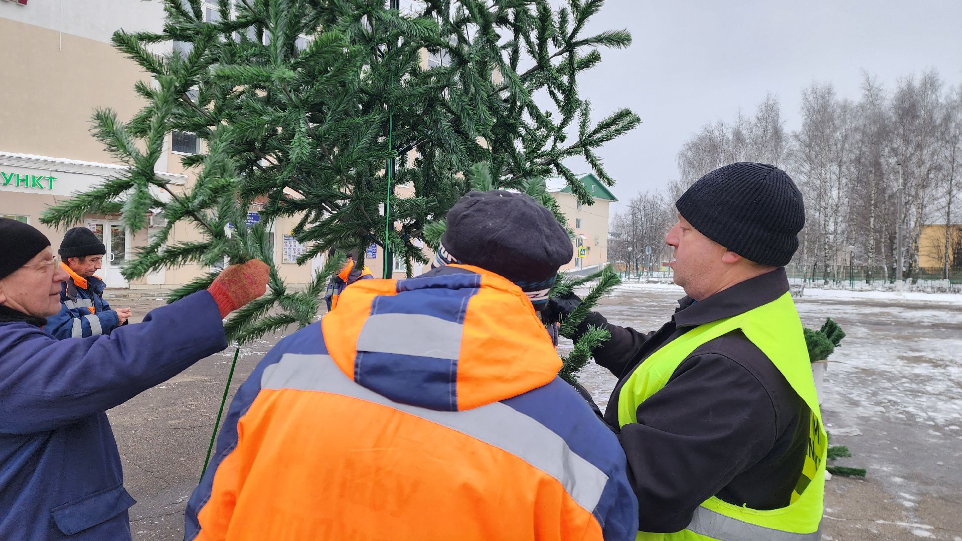 новогодняя ель, истра, установка елки, вертикалки,
