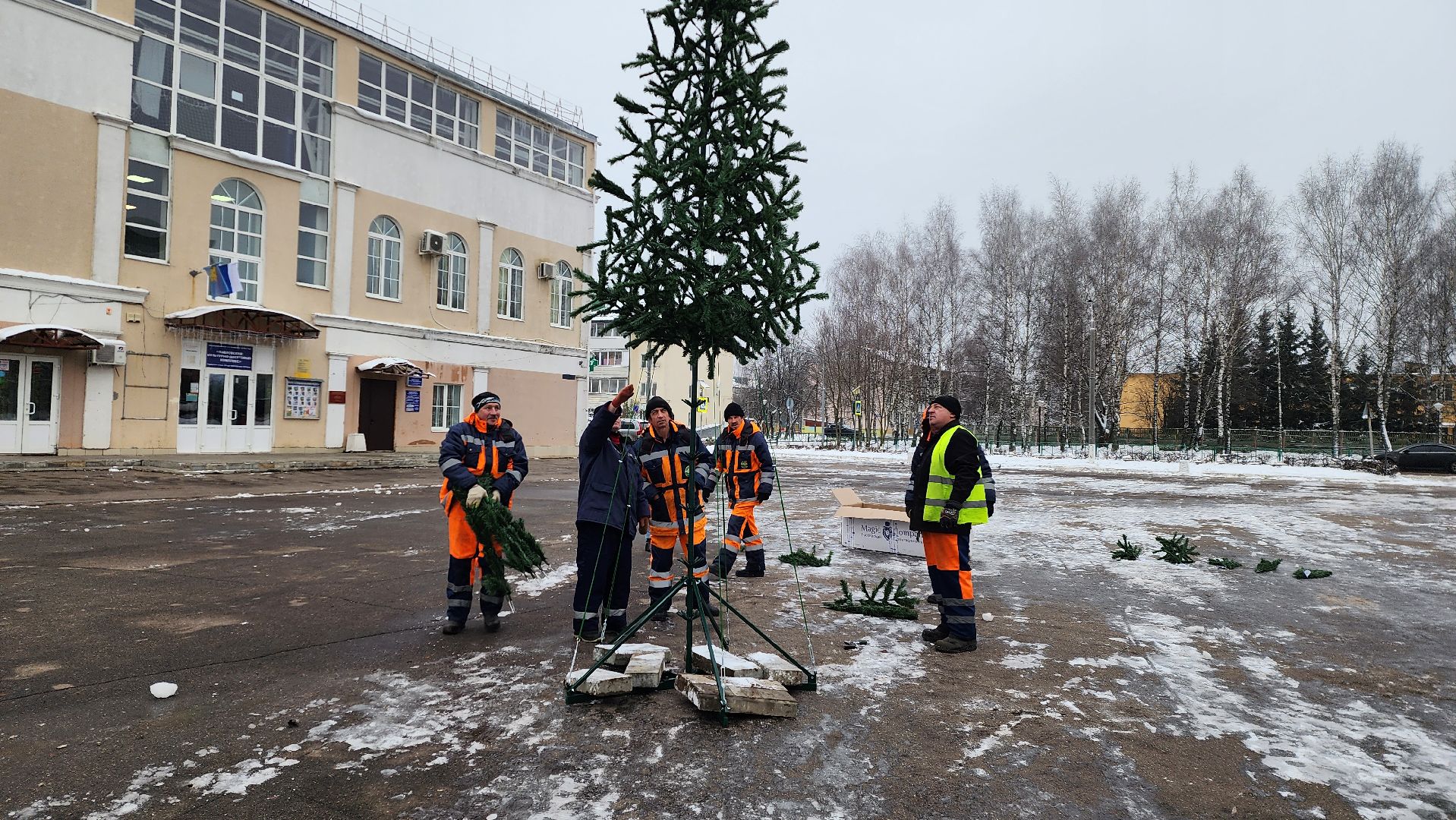 новогодняя ель, истра, установка елки, вертикалки,
