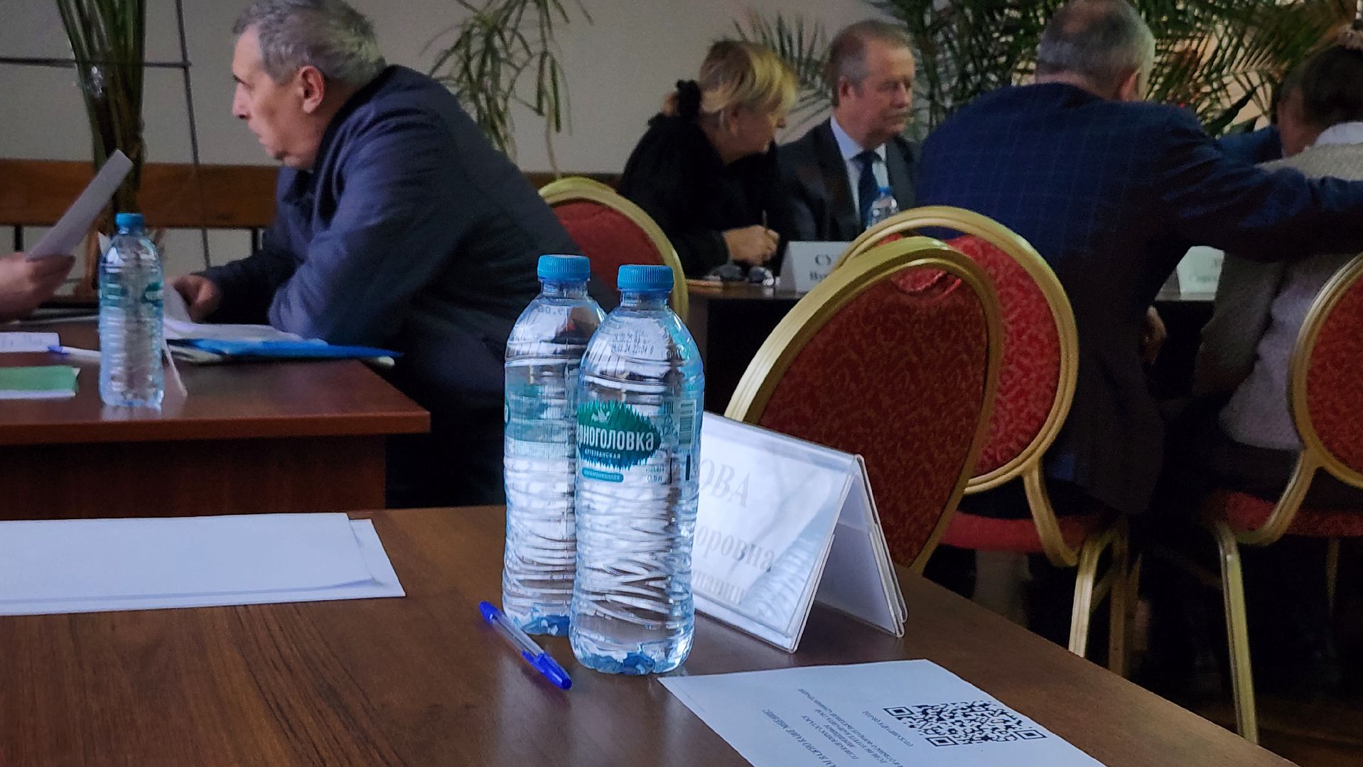 выездная администиация, транспорт, обращения жителей, Старая Купавна, Богородский городской округ, вертикалки,