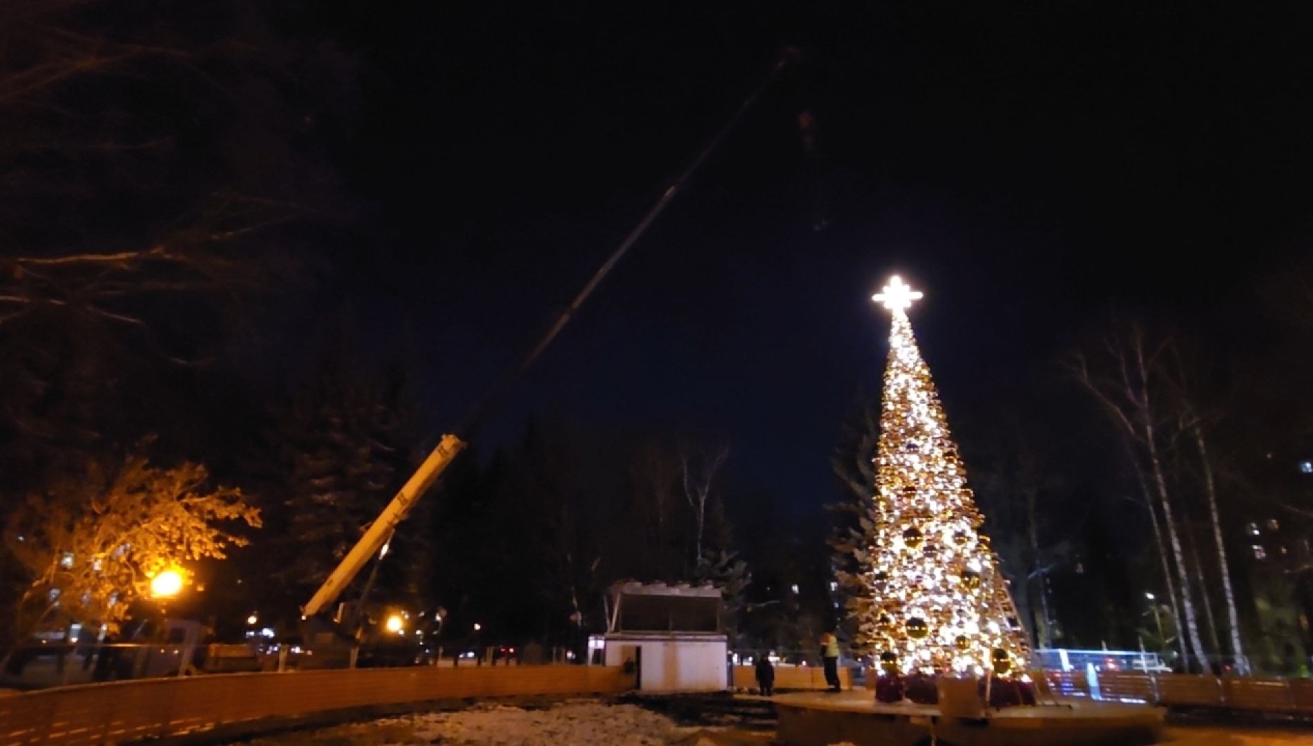 ель, каток, новый год, вертикалки,