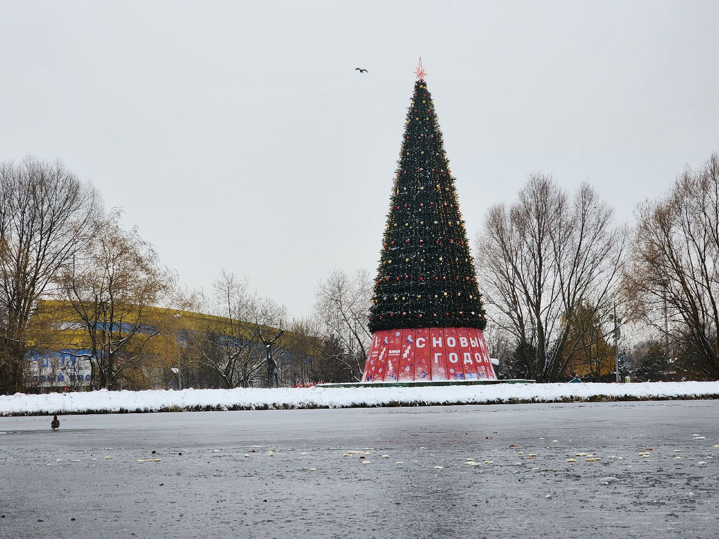 Одинцово, благоустройство, елка, баранка, новый год, вертикалка, вертикальное видео,