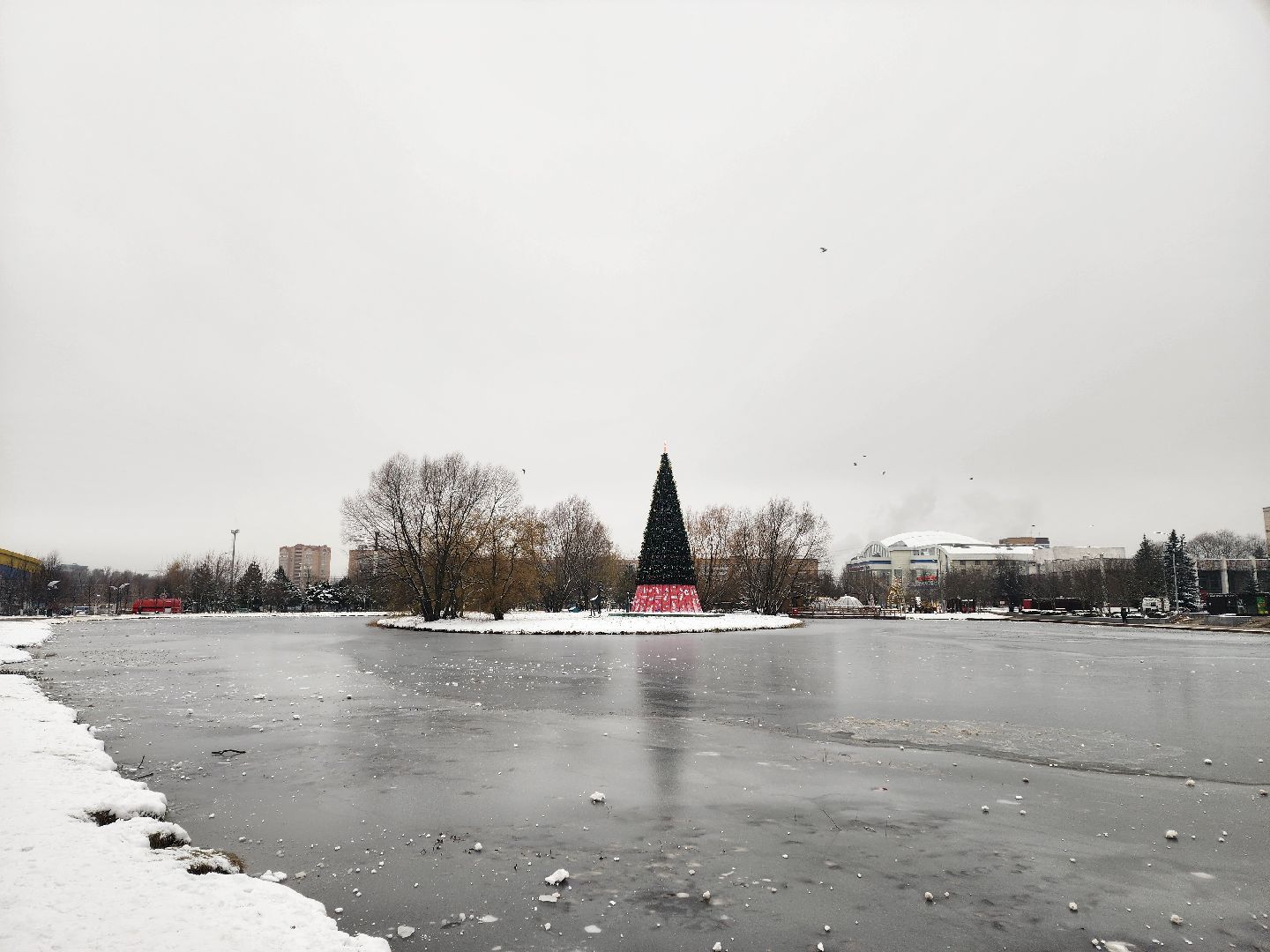Одинцово, благоустройство, елка, баранка, новый год, вертикалка, вертикальное видео,