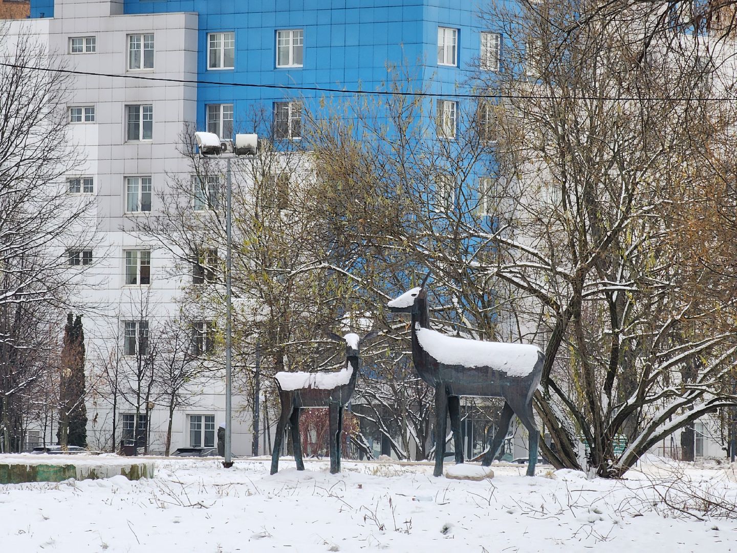 Одинцово, благоустройство, елка, баранка, новый год, вертикалка, вертикальное видео,