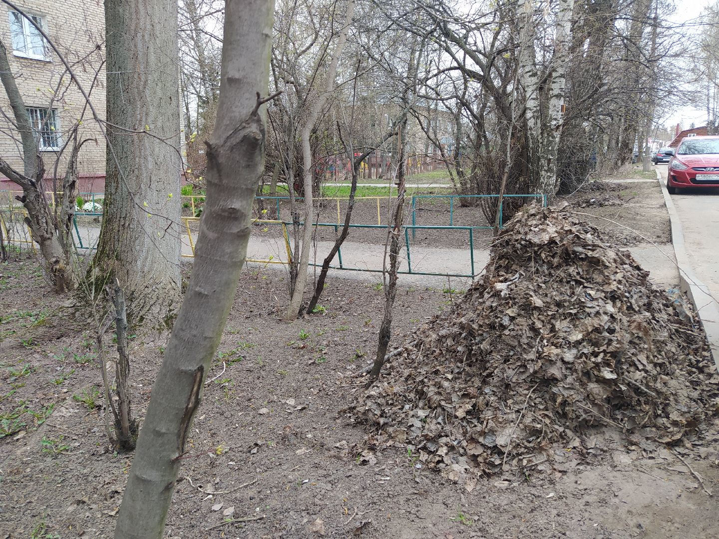 Благоустройство, придомовая территория, уборка, листва